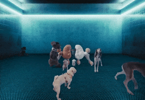 Dog Show GIF by Jazmin Bean