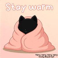 Freezing Black Cat GIF by VeeFriends