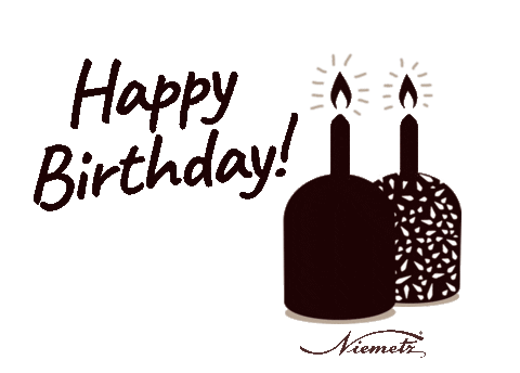 Vie Happy Birthday Sticker by NiemetzSchwedenbomben