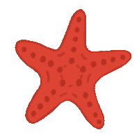 Summer Estrella De Mar Sticker