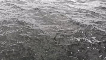 water waves GIF by IntelligentMobiles GmbH