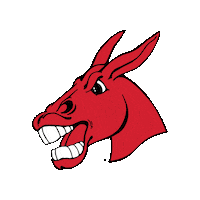 Football Baseball Sticker by University of Central Missouri