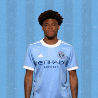New York City Fc Reaction GIF by NYCFC