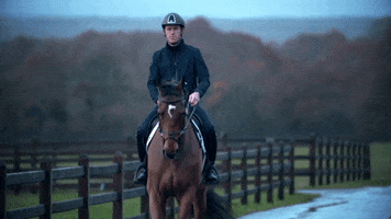RolexGrandSlam horse horses rolex grand slam GIF