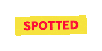 Sport Running Sticker by Linz News