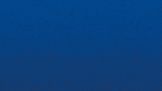 Bourg En Bresse Win GIF by Football Bourg-en-Bresse Péronnas 01