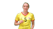 Volleyball Sticker by Draisma Dynamo