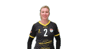 Volleyball Sticker by Draisma Dynamo