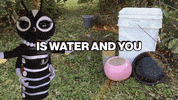 Happy Public Health GIF by SGVmosquito
