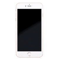 flowers Sticker by GRACE Flowerbox