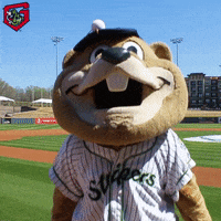 clap hype GIF by Gwinnett Stripers