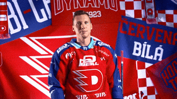 Jan GIF by HC Dynamo Pardubice