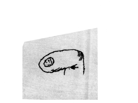 filemon-filemon giphyupload animation weird yay GIF