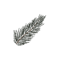 Christmas Tree Sticker