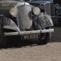 allcreaturestv animals car falling chuckle GIF