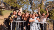 Group Vibing GIF