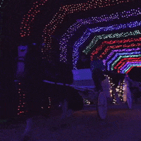 GIF by santaswonderland