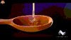 honey satisfying GIF