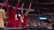 wnba celebration excited hype wnba GIF