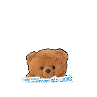 laborsaolucas labory laborvacina Sticker