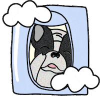 happy dog Sticker by Ivo Adventures