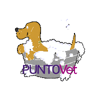 PuntoVet cat gatos perro cachorro Sticker