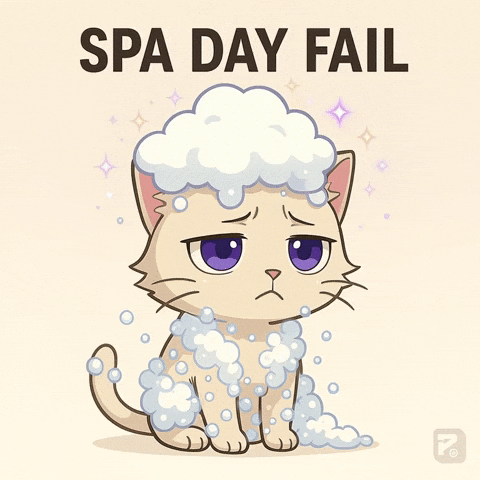 Happy Birthday Celebration GIF by Persona