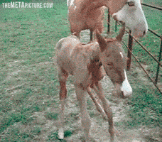day gym GIF