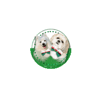 Japanese Spitz Wales Sticker by Pimp Yo Pets