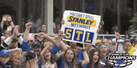 ice hockey blues parade GIF by NHL