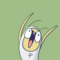 Hooray Celebrate GIF by Simply Micho