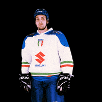 federazioneghiaccio hockey ice wintersport sportinvernali GIF