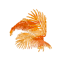 Sommerfest Sticker by IfSS KIT