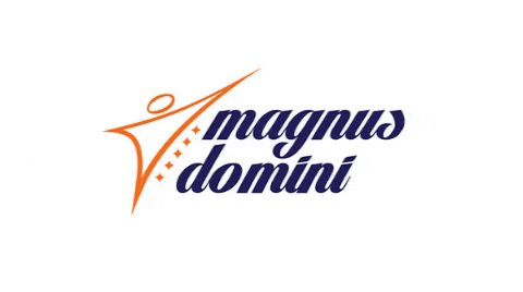 magnusdomini giphygifmaker escola magnus magnus domini GIF