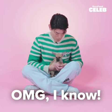 OMG I know!