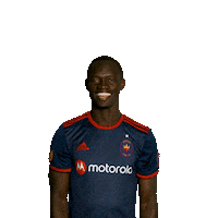 The Office Reaction Sticker by Chicago Fire Football Club