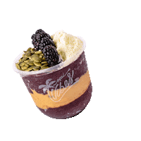 Acai Qatar Sticker by acai Vibes