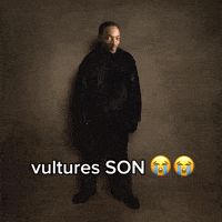 Son Vultures GIF