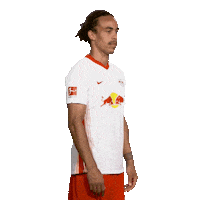 Posing Line Up Sticker by Bundesliga