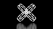 Infinite Loop X GIF by CmdrKitten