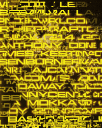 GIF by Call of Duty