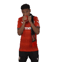 Football Freezing Sticker by Bayer 04 Leverkusen