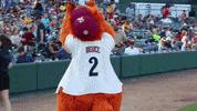 ridersbaseball frisco roughriders GIF