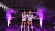 Volleyball GIF by Tommie Athletics