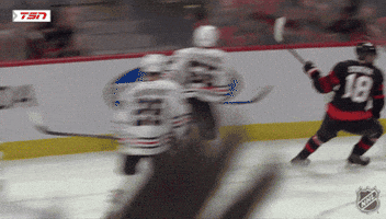 Happy Ottawa Senators GIF by NHL