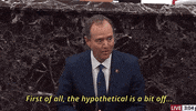 Adam Schiff GIF by GIPHY News