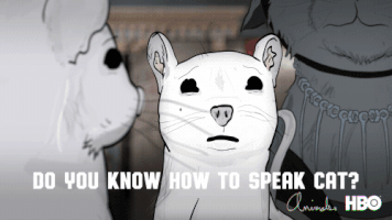 season 3 cat GIF by Animals