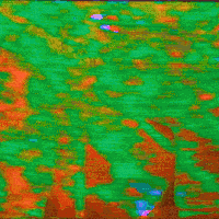 capitalwaste glitch vhs pop dream GIF