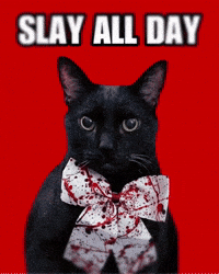 Black Cat Slay Queen GIF