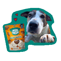 AwesomePawsomeTreats happy dog please pets Sticker